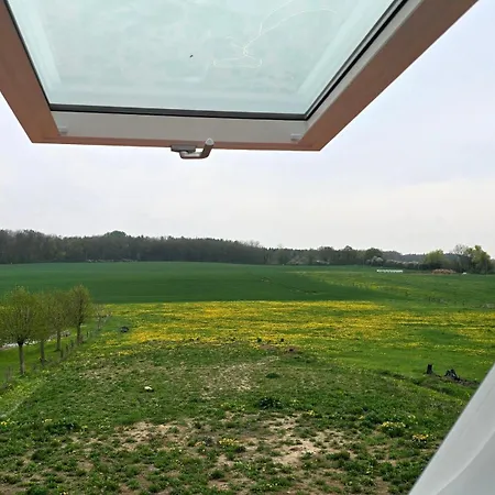 Suedgarten Mit Kamin An Der Ostsee Kalkhorst