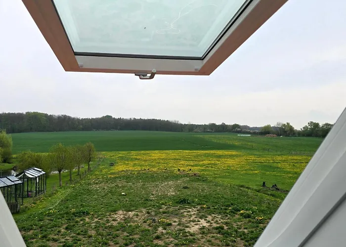Suedgarten Mit Kamin An Der Ostsee Kalkhorst